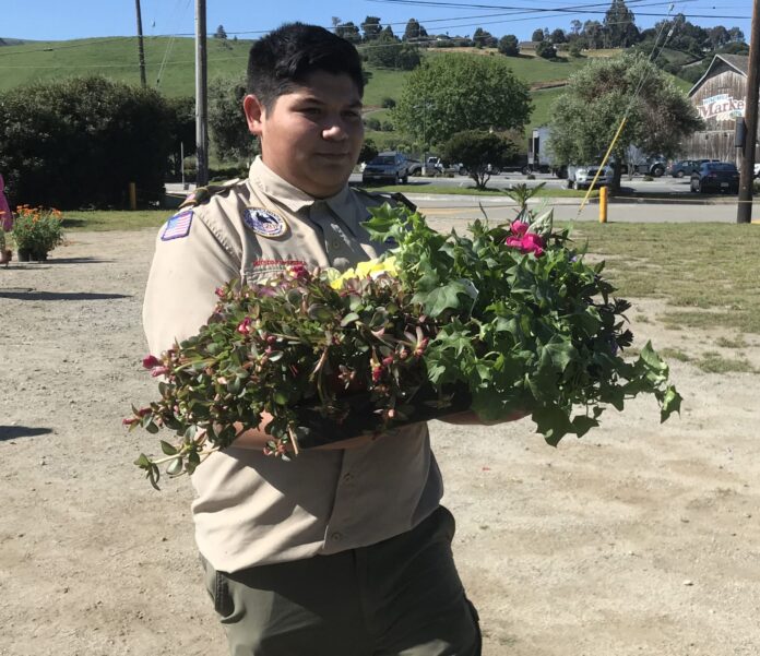 Plant Sale9