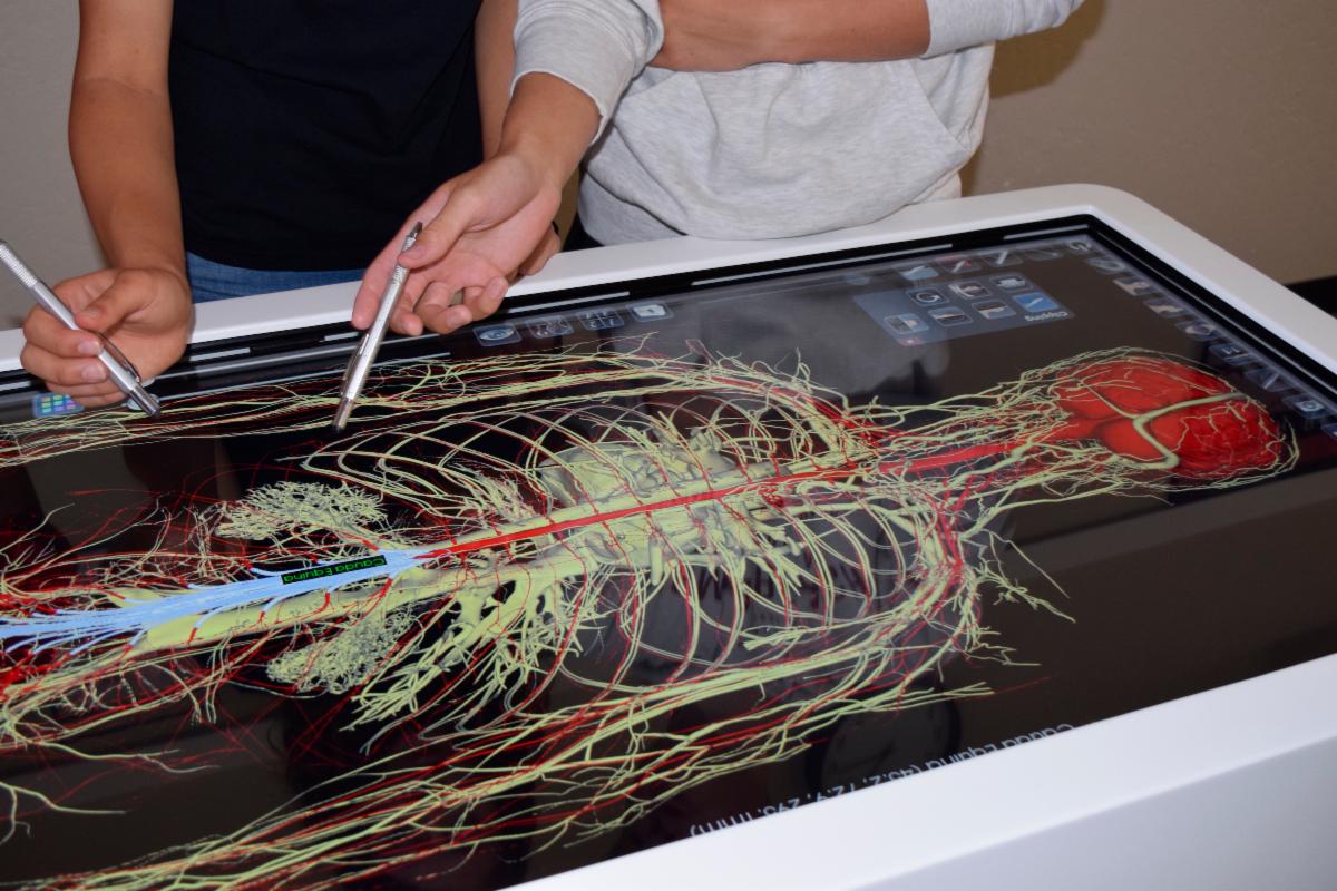 Virtual Dissection Images SBHS adds virtual dissection table to classroom | San Benito Live