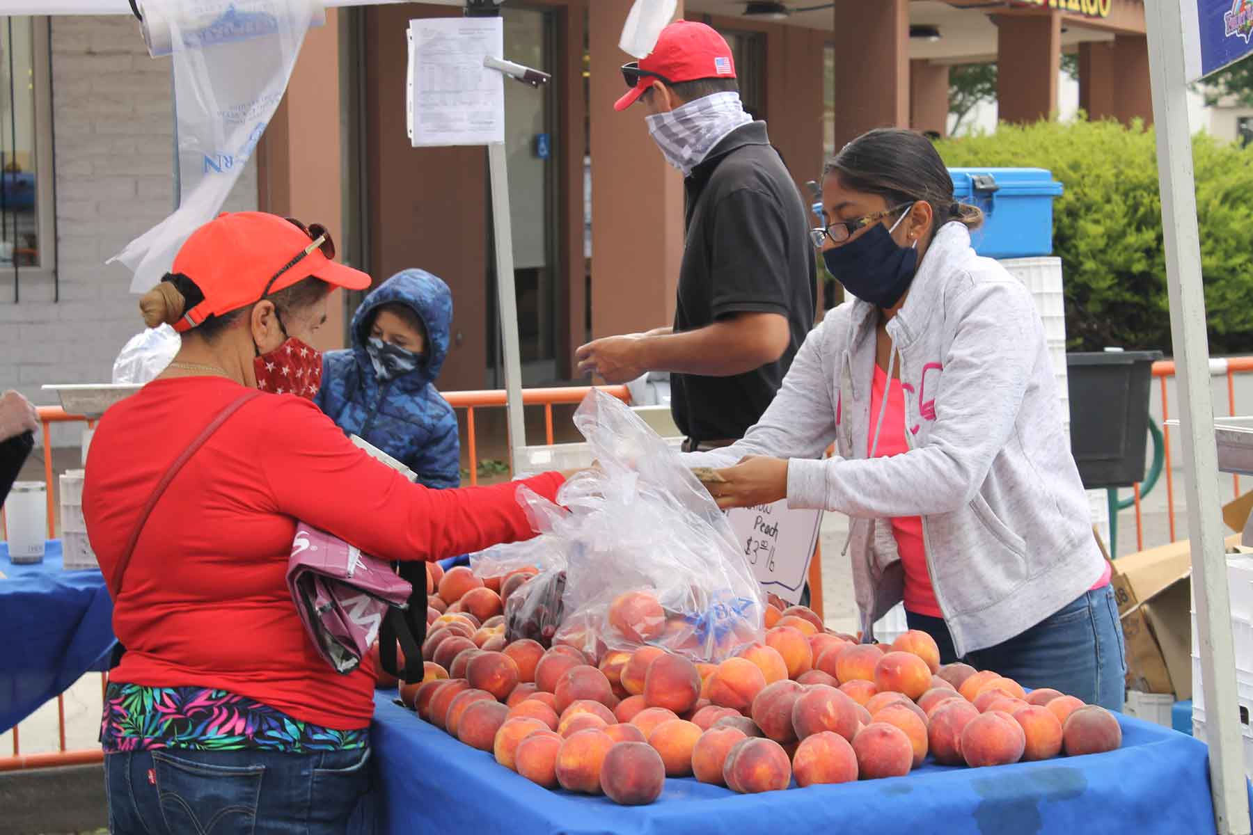 Photos Hollister Farmers Market sprouts again during pandemic San